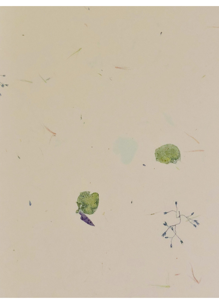 Takeo • 竹尾紙 Takeo • 竹尾紙